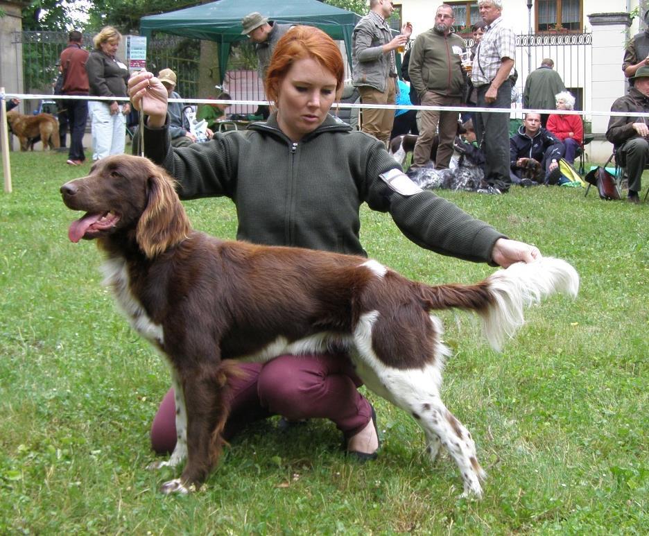 PSI - TŘÍDA PRACOVNÍ 334 CODY ZIMNÍ VRCH VD2 13.5.