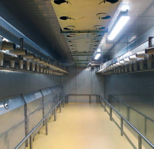 Jsou vhodné pro technologii s GDL nebo klasickou výrobu trvanlivých salámů, klobás, šunky a uzených mas. Centrální ventilátor zajišťuje optimální a rovnoměrné proudění vzduchu ve všech místech.