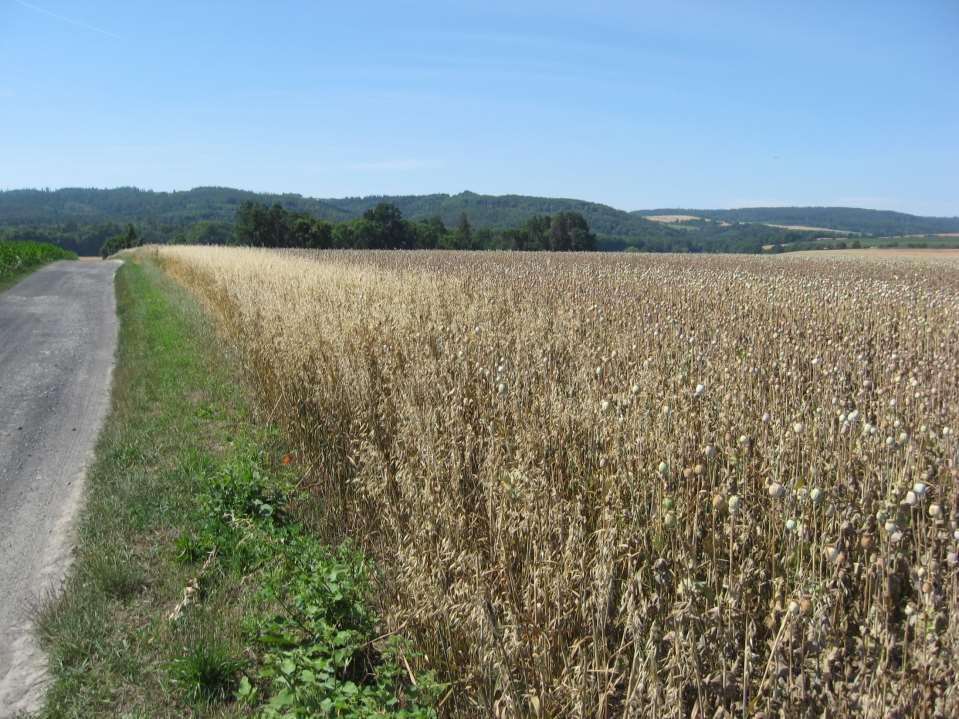 Dodržení ochranné vzdálenosti od