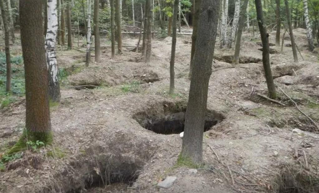 Krasejovka Naleziště u malé vesnice Krasejovka je na jihu u silnice, která vede z Českých Budějovic do Velešína.