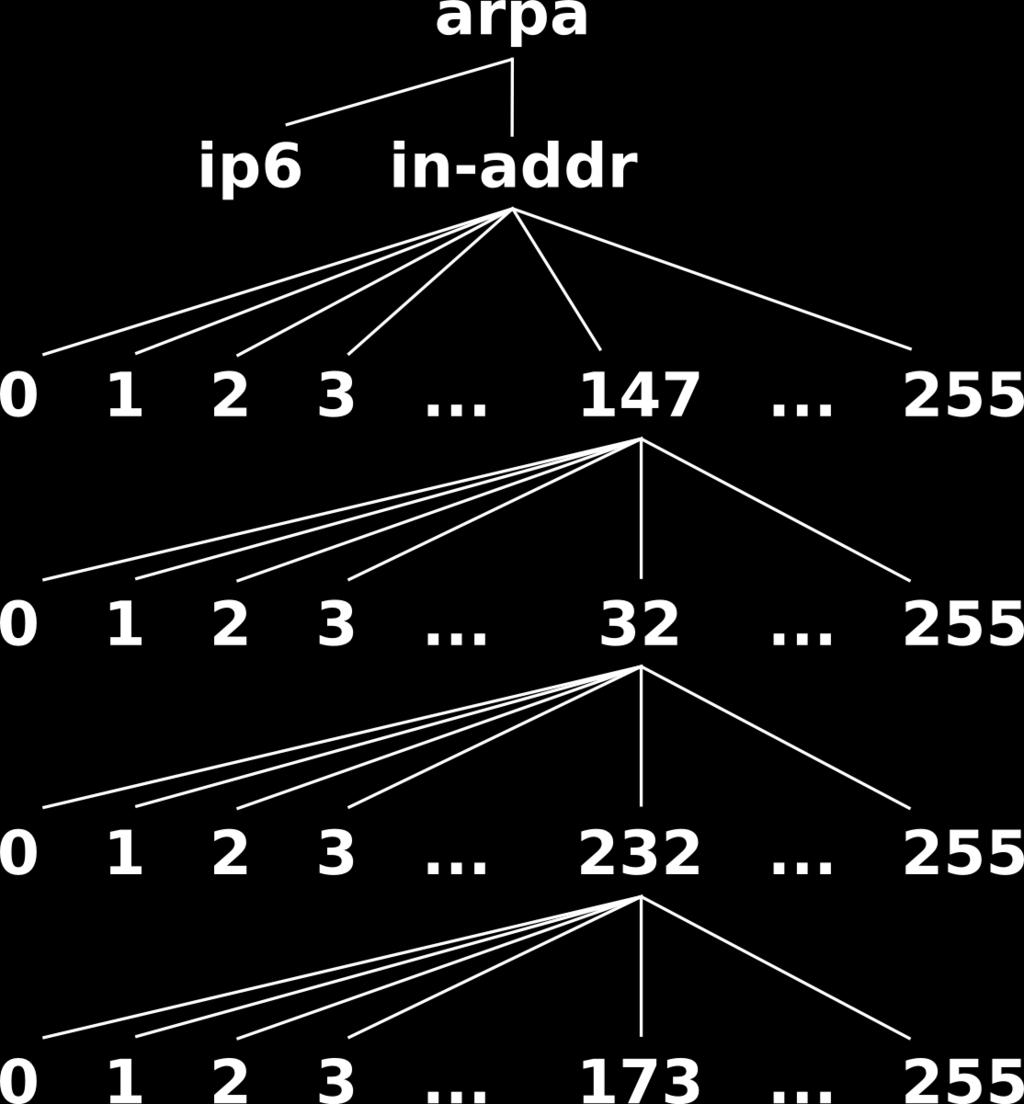 DNS reverzní