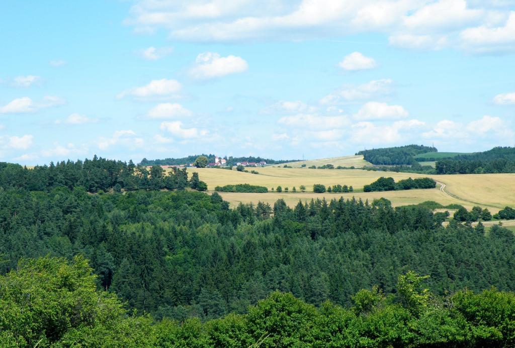Děkuji za pozornost Kontakt: Zuzana.