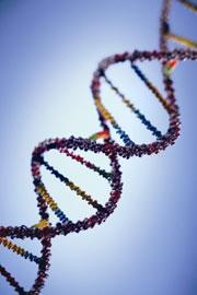 Historie Regulace moderních biotechnologií (genového inženýrství, genových manipulací) souběžně s jejich rozvojem od konce