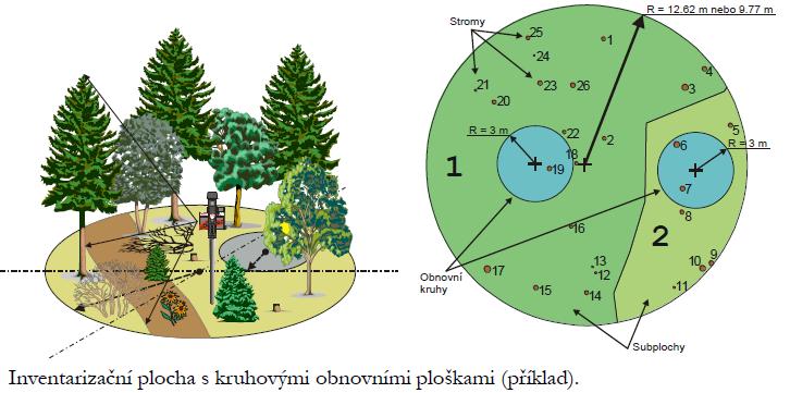Národní inventarizace lesů Dříve- monitoring růstu lesa na lokální úrovni Nyní Národní inventarizace lesů I (2001-2004), II (2011-2015) http://www.uhul.