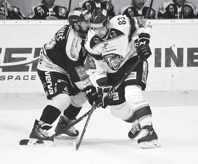 TABULKA TELH K 18.10. 1. HC Škoda Plzeň 14 60:31 30 2. HC Kometa Brno 14 54:34 30 3. HC Oceláři Třinec 14 44:32 28 4. Mountfield Hradec Králové 14 33:24 27 5. HC Sparta Praha 14 38:38 23 6.