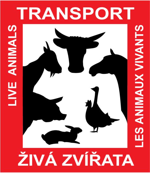 Transport zvířat na jatky Vylačněná zvířata Délka transportu domácích kopytníků délka nesmí překročit osm hodin.