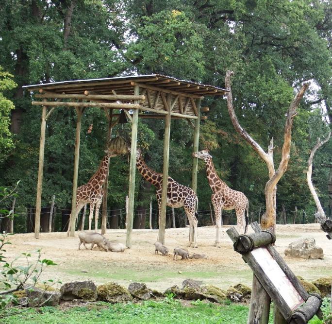 která nám představila zvířata v této expozici.
