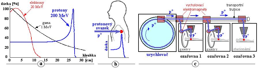 Braggův pík hadronová radioterapie LQ model Braggovy křivky závislosi hloubkové distribuce dávky v tkáni (vodním fantomu) pro různé kinetické energie protonů (vlevo) a jader