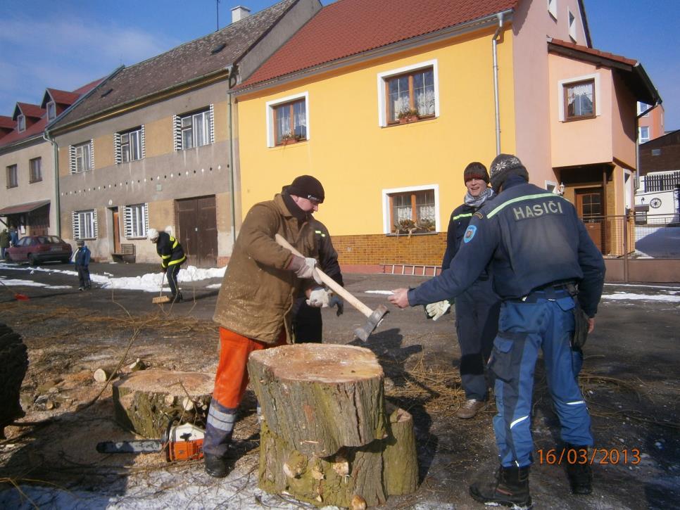 Kácení vrb v parku