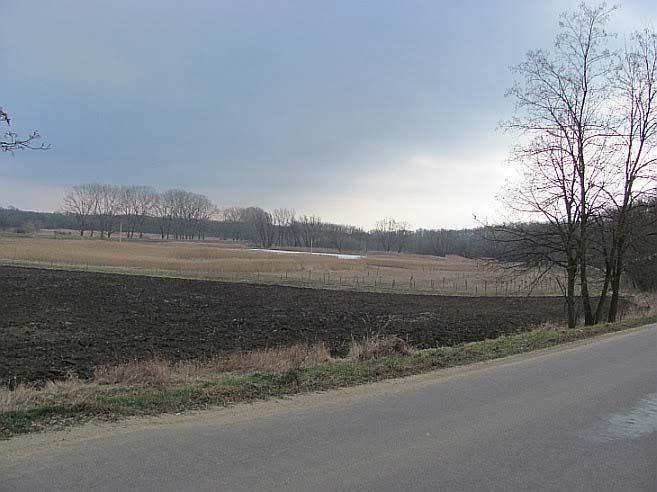 Příklad obsahu databáze regionální biocentrum U náhonu REGIONÁLNÍ BIOCENTRUM U NÁHONU Obr. 1: Pohled na biocentrum směrem od Borotic ( L. Nevrkla).