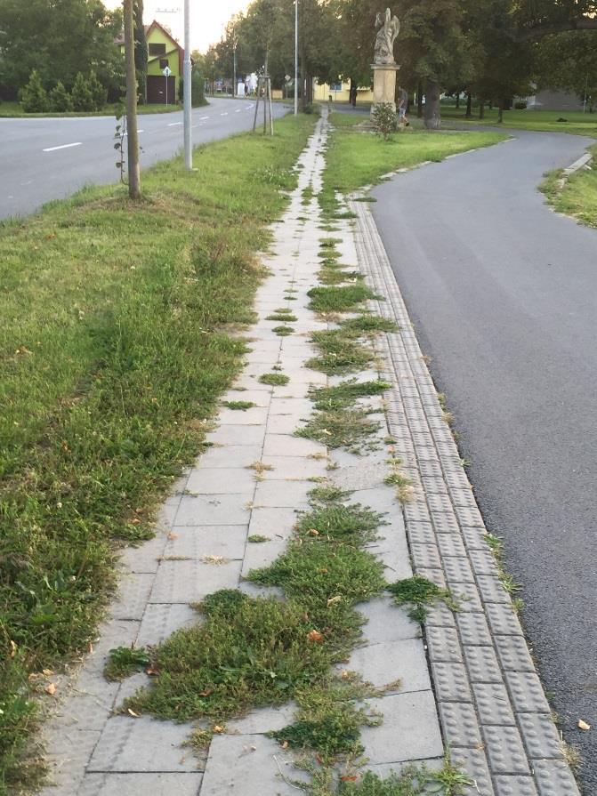 Chodníků na vyčištění ve Chválkovicích je daleko více, uvádíme ty nejkřiklavější případy, na které si místní občané