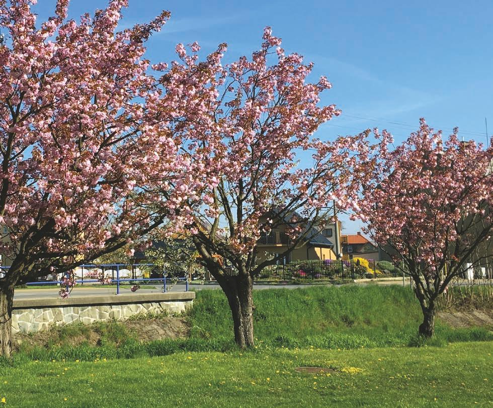 Zpravodaj obce Palkovice 3/2017 www.palkovice.