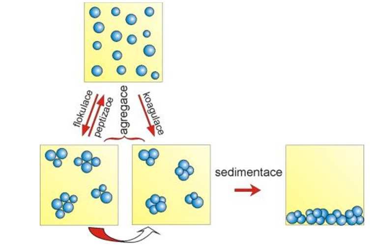 i organického původu, zahrnuje koagulaci do vloček i separaci vytvořených vloček.