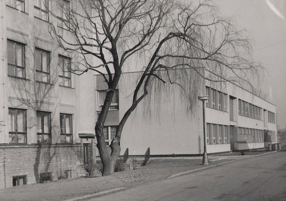 ZÁKLADNÍ ŠKOLA