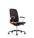příklady židle Belive examples of Belive chairs Belive 216 Belive 226 Belive 236 Belive 246 Belive 116 Belive 126 Belive