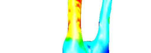 Diagnostické simulace