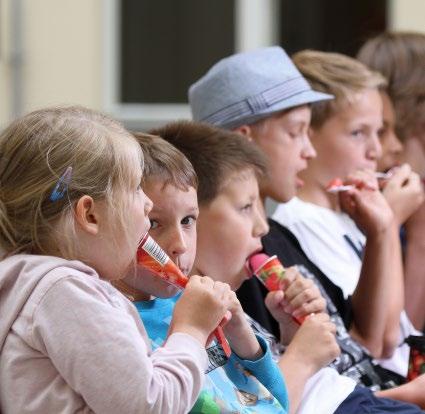 Plusové body jim na rozdíl od nanuků, ale zase přihrává fakt, že téměř neobsahují tuky, které jsou minimálně stejně velkou hrozbou jako cukry (v nanuku Míša je cca o 11 gramů tuku navíc).