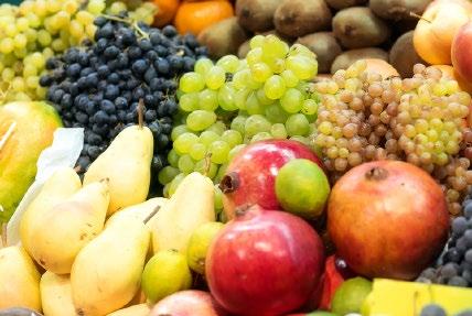 Festival vín, gastronomie a kultury s názvem Pálavské vinobraní má v Mikulově dlouhou tradici. Na návštěvníky tady čeká každý rok zajímavý program.
