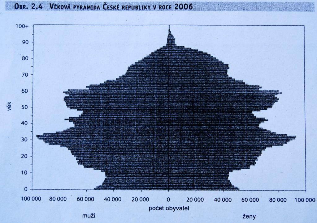 Specifické vlivy projevující se ve věkové struktuře ČR -obecně výrazná převaha žen ve vyšších věkových kategoriích, zhruba od padesátého roku života (typické pro většinu žen ekonomicky vyspělého