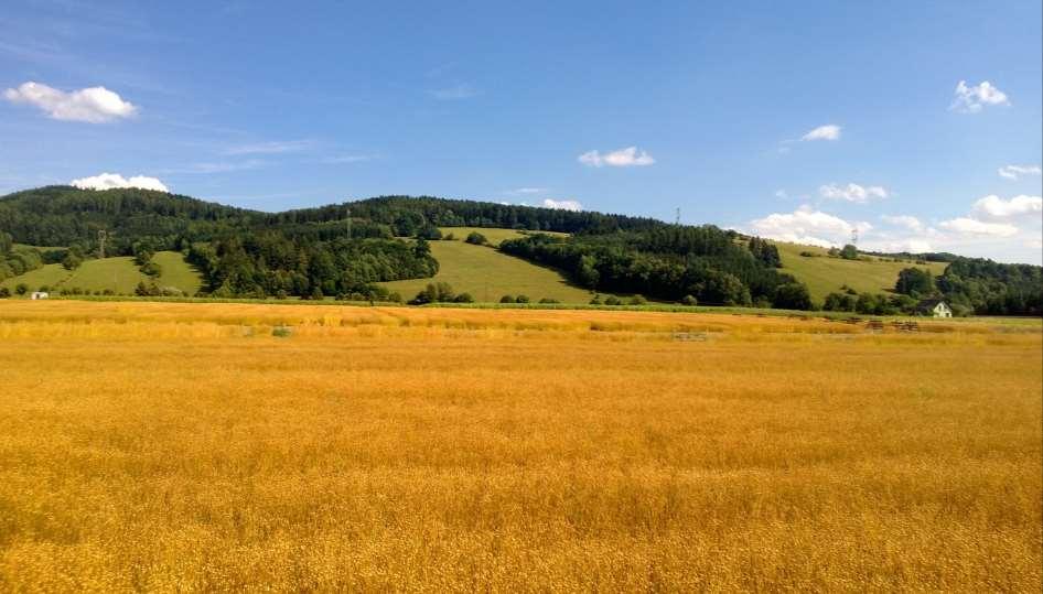 V roce 2018 byly v ČR zasety následující plochy lnu a konopí Plodina