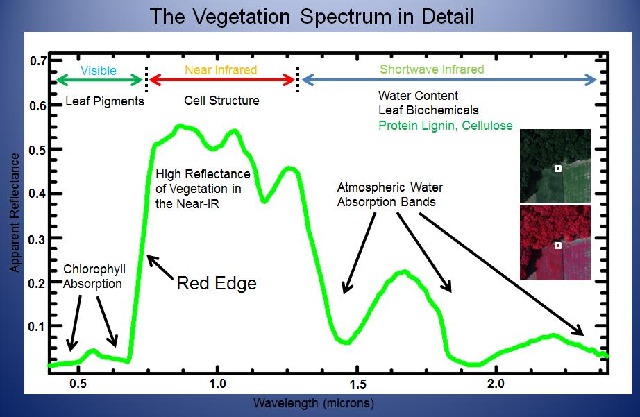 Přesná identifikace red edge The high spectral resolution of hyperspectral