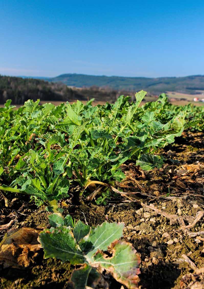 agrotip Informační měsíčník BASF pro české zemědělce Březen 2017
