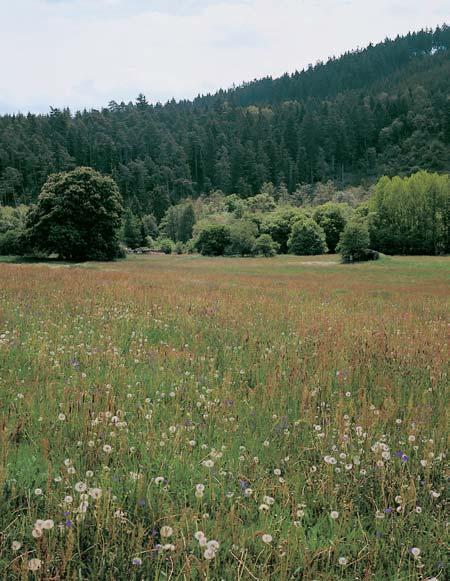 PlzeÀsko a Karlovarsko park Horní Stfiela Vyhlá en ONV PlzeÀ-sever a Karlovy Vary v r. 978 jako tzv. oblast klidu. park je vymezen na plo e 7350 ha v severov chodní ãásti okresu PlzeÀ-sever.