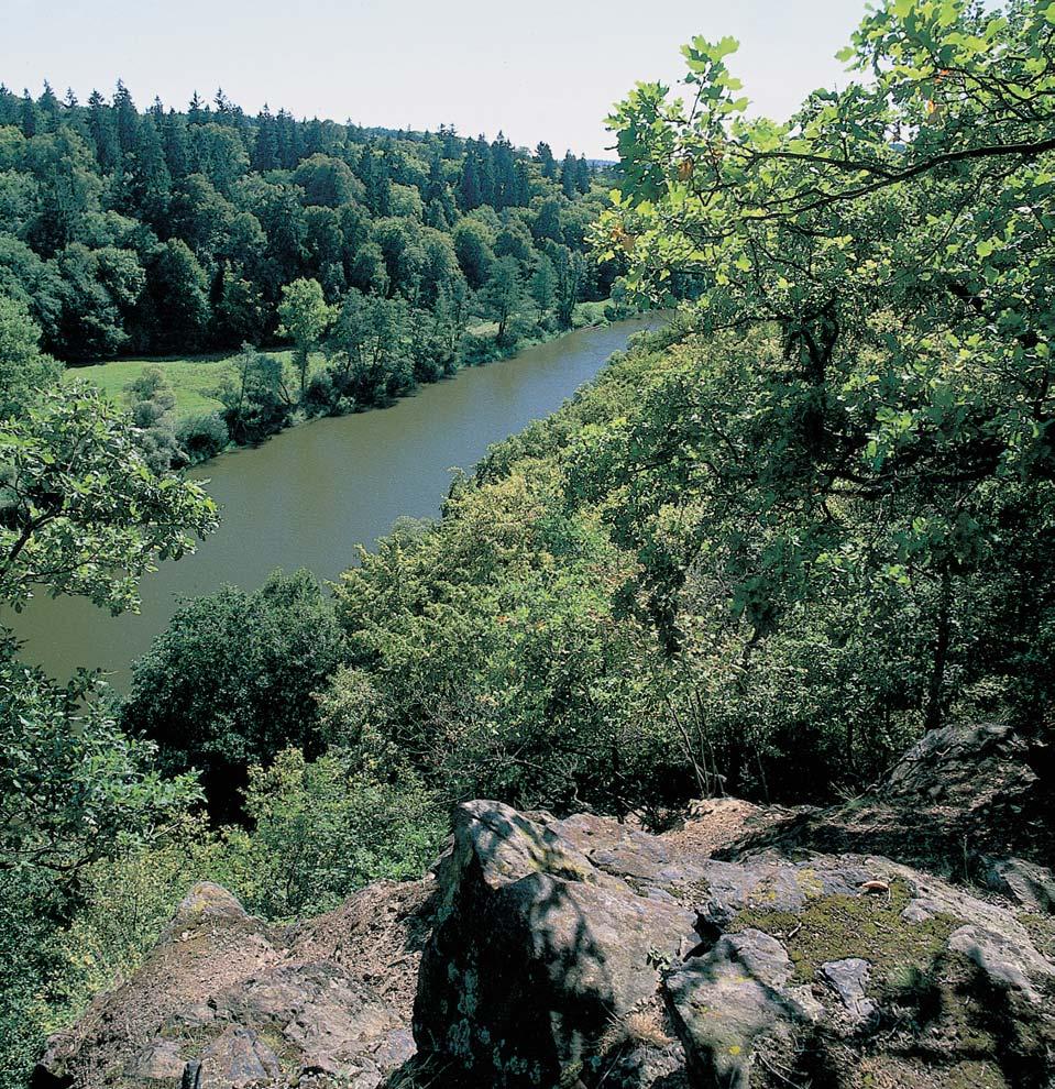 PlzeÀsko a Karlovarsko 2 (Urtica dioica). Místy je stfiídají rozmûrné suèové osypy bez stromového patra.