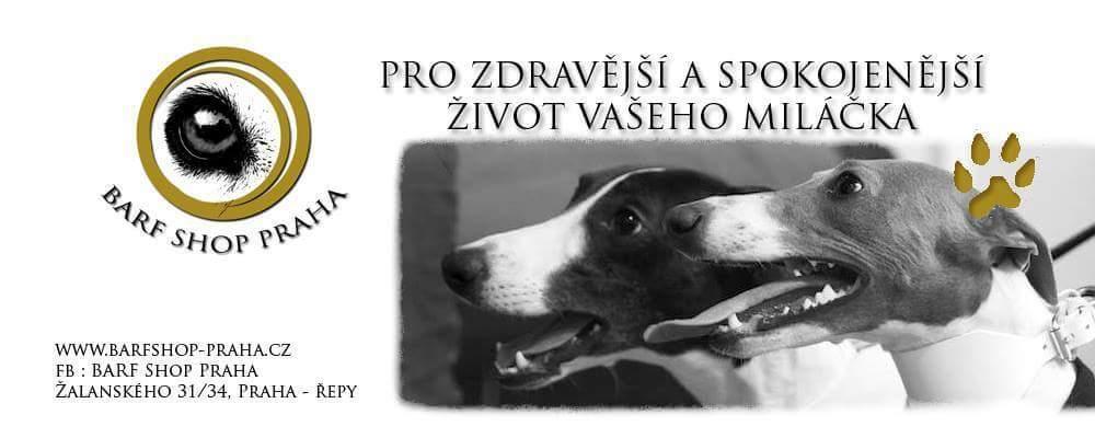 Ceny Tratě Veterinární předpisy Start a sedliště Povinná výbava psů Odpovědnost Pravidla dopingu Protest věcné ceny pro 1. 6.