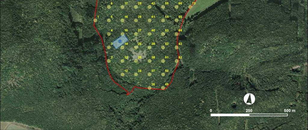 2. Sběr dat Metodika monitoringu dynamiky vývoje přirozených lesů ponechaných samovolnému vývoji vychází z řešení projektu VaV SE/61/6/2 Výzkum a shromáždění poznatků o rozšíření a stavu přírodních