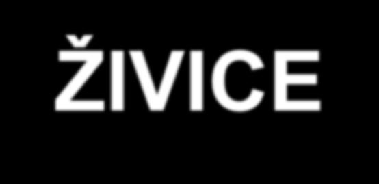 ŽIVICE 2