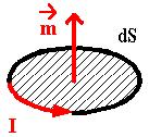 Stacionární magnetické pole Téma: Magnetický moment
