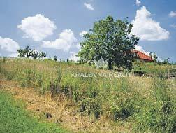 vzdálena 17 km od Brna, doprava bezproblémová IDS, v obci je veškerá občanská vybavenost Cena 1370 000 Kč RK ( 721 048 794 Bydlení v Brně ihned Nabízíme nájembyty s trvalým