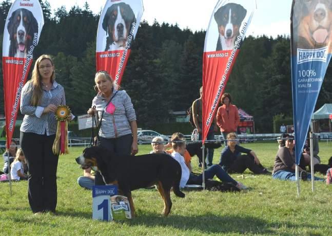 2005, otec: Artuš Stříbrné štěstí, matka: ANGELÍNA z Roupovského dolíku Chovatel: Jiří Novotný, Praha 10 Kolovraty