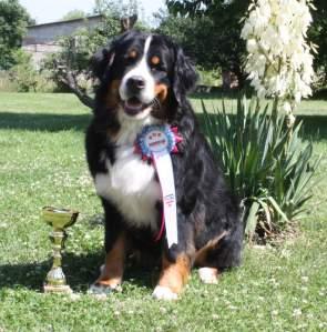 zápisu: CMKU/ESP/285/11/14 majitelka: Mgr. Kateřina Jozová www.entlebucher-dog.