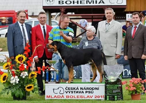 cz VELKÝ ÚSPĚCH SALAŠNÍKA NA NÁRODNÍ VÝSTAVĚ Na Národní výstavě v Mladé Boleslavi dne 19.7.