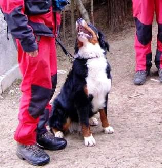 4.5.2011 CMKU/VSP/1549/