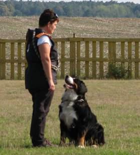 kategorii DTM1 (muži do 40 let). Kompletní výsledky k nahlédnutí na http://dogtrekking.info/ mcr_2015.htm.