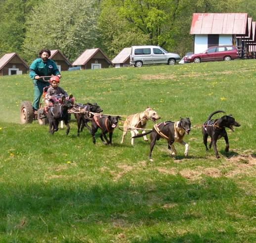 PŘÍSPĚVKY ČLENŮ KLUBU již asi po stopadesáté ve své výcvikářské kariéře s velkou trpělivostí vše učí jak začátečníky, tak pokročilé (což bývá mnohdy větší oříšek) a vysvětlují a vysvětlují.