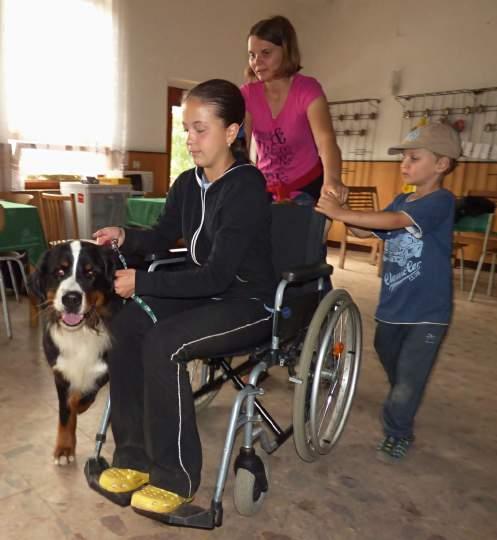 ..počínaje krytím, výběrem ženicha, porody, socializací štěňat,... výběrem nových páníčků, vhodným stravováním, nemocemi.