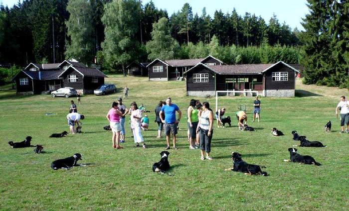 Po 14. hodině jsem ještě pokračovala v individuálním výcviku pejsků z pátku, se kterými jsme to již nestihli. Program se nám tak trochu měnil svobodně dle počasí a situace.