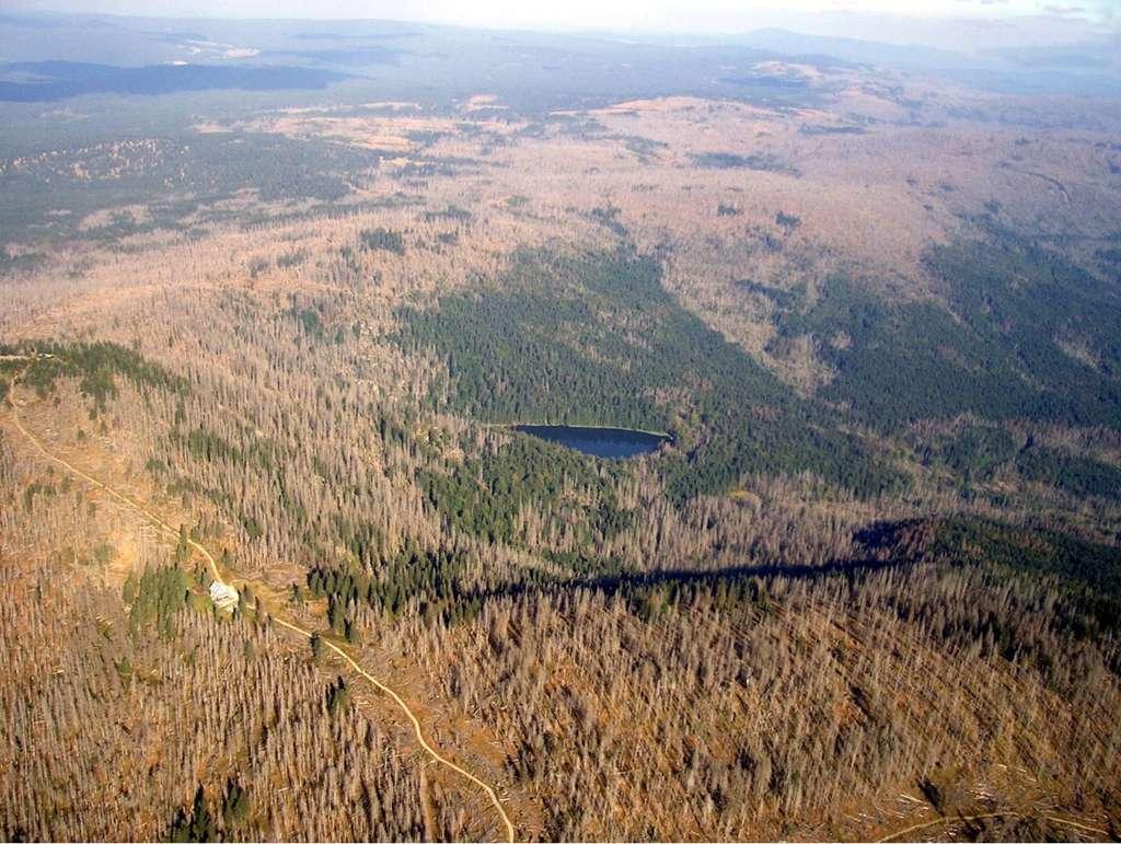 POHLED OD ROKLANU K LUZNÉMU - ROK 2005 25