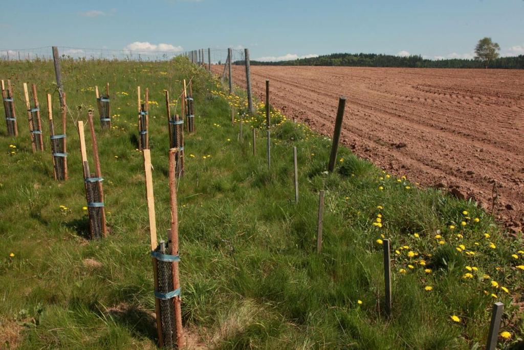 Specifická kritéria přijatelnosti projektu - Pozemky realizace jsou volně přístupné bez poplatků či fyzických překážek