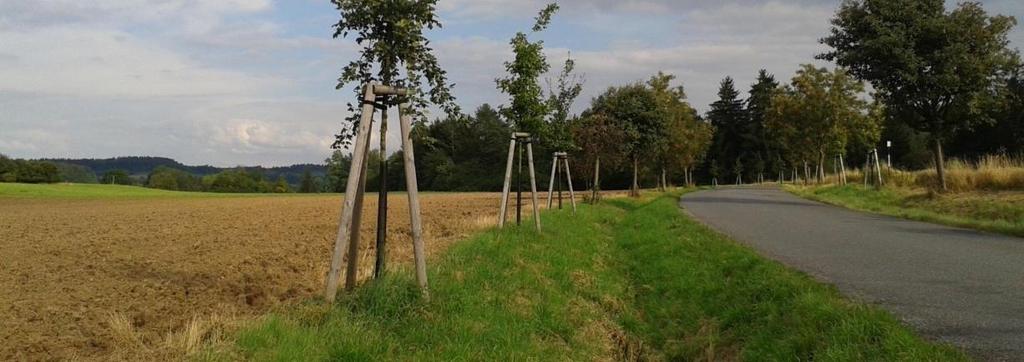 2.1.Obecná kriteria přijatelnosti 2.1.7 Pokud se projekt bude realizovat v ZCHÚ (nebo jeho OP) nebo v lokalitě soustavy Natura 2000, není v rozporu s plánem péče o ZCHÚ ani se souhrnem