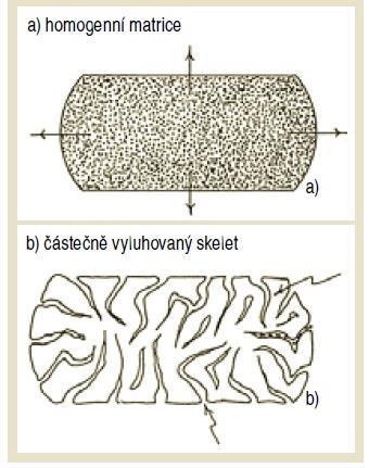 Obrázek č. 5: Polymerní nerozpustná matrice. Na obrázku a) je znázorněna homogenní matrice. Na obrázku b) je částečně vyluhovaný skelet, jsou zde patrné kanálky.