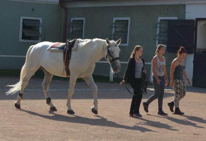 Po půlhodinové návštěvě, s pozváním manželů Capouškových k pobytu v jejich penzionu někdy p íště, jsme se museli rozloučit a pokračovat v cestě do Kutné Hory. Na snímku z 19.