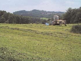 biomasa Biomasa pro energetické účely Produkce biomasy pro energetické účely a využití dřevin na zemědělské půdě Jan Weger V ČR se v roce 1996 se podle údajů MŽP využívalo 0,9 mil tun biomasy pro