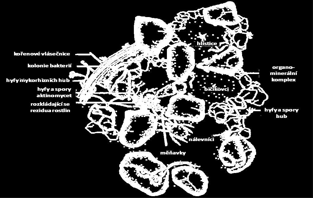 (2007): Soil