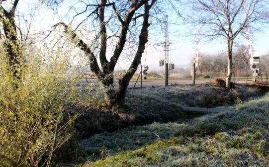 Bulletin VYDRA, 17: 30 53 (2018) Tab. 2: Vzdialenosť miest kolízií od rieky Hron v 1 000 m kružniciach (autor M. Filadelfi). Tab. 2: Distance of places of death from the Hron river in the 1 000 m buffer circles (author M.