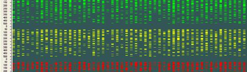 HICF (high information content fingerprinting) fingerprinting s vysokým informačním obsahem Izolace DNA z BAC klonů Institut National de la Recherche Agronomique